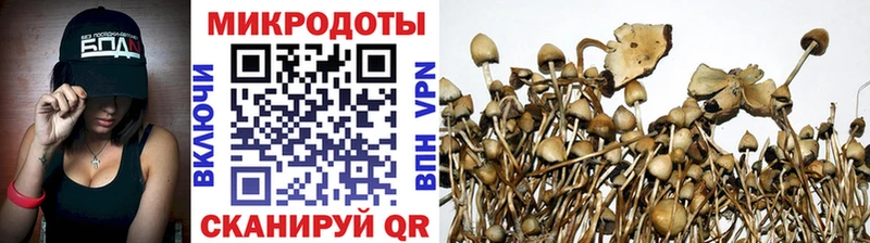 mega ТОР  Гудермес  Галлюциногенные грибы Cubensis 